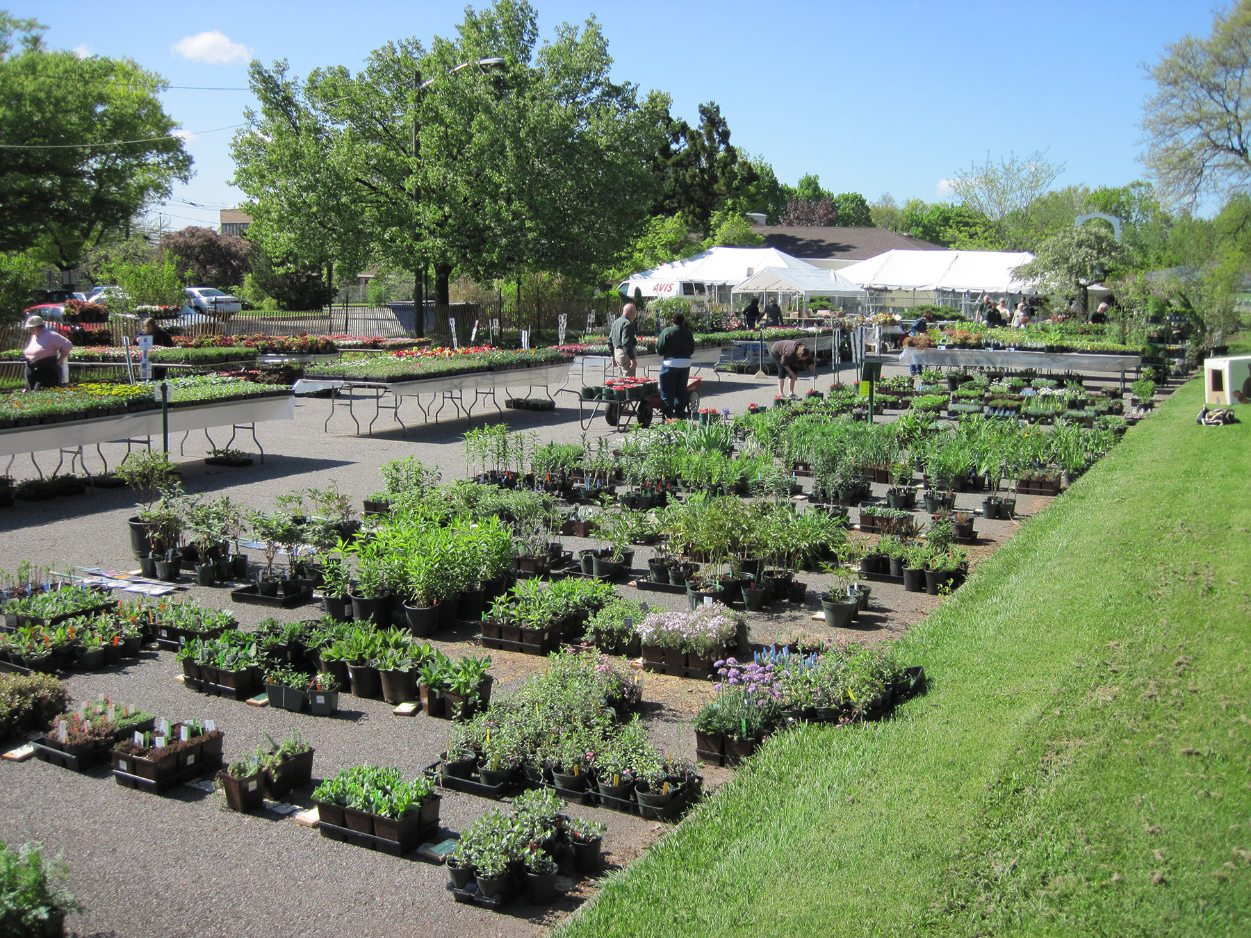 MGC's Annual Plant Sale Is Finally Here! Starts Thursday, Ends Saturday